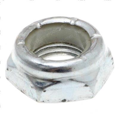 Picture of Nut