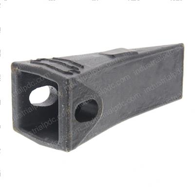 Picture of Tooth