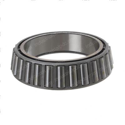 Picture of Cone-Bearing