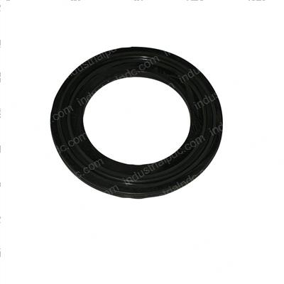 Picture of Seal