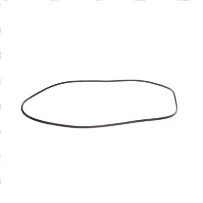 Picture of O-Ring