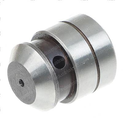 Picture of Plunger