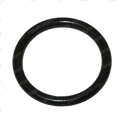 Picture of O-Ring