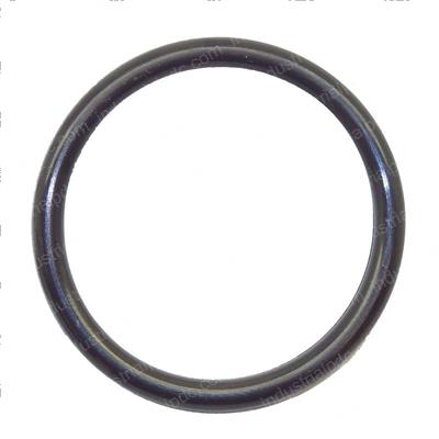 Picture of O-Ring