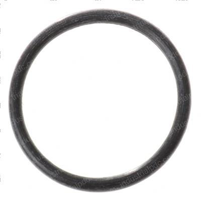 Picture of O-Ring