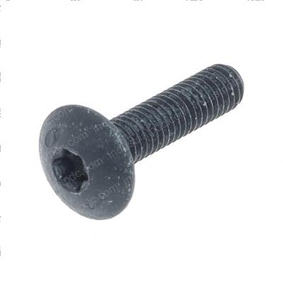 Picture of Screw