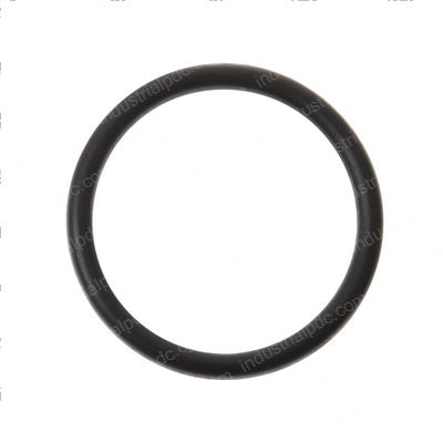 Picture of O-Ring