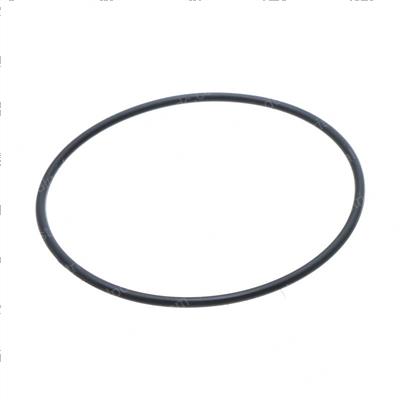 Picture of O-Ring - Seal