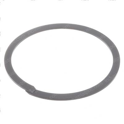 Picture of Ring - Backup
