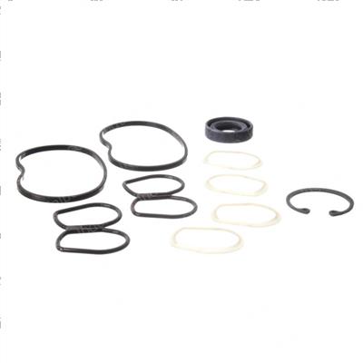 Picture of Seal Kit - Pump