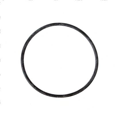 Picture of O-Ring