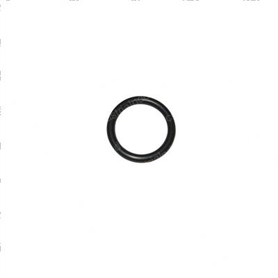 Picture of O-Ring