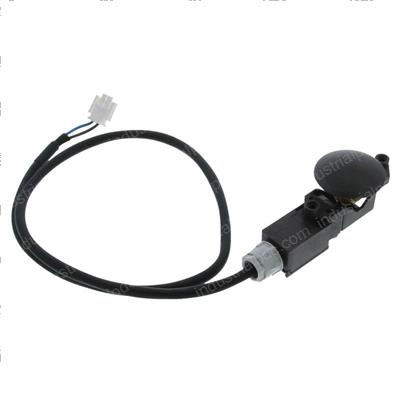 Picture of Switch - Foot