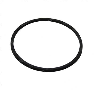 Picture of Seal - Ucup