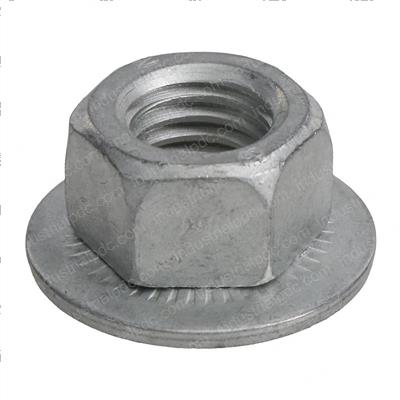 Picture of Lock Nut