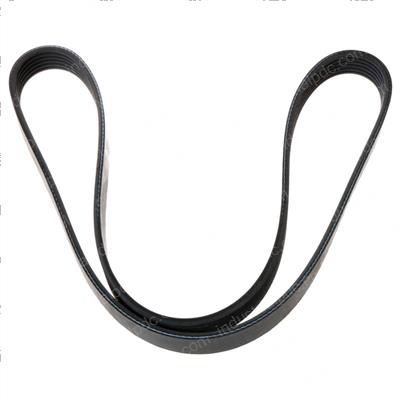 Picture of Belt - Serpentine