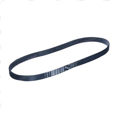 Picture of Belt - Serpentine