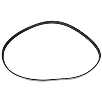 Picture of Belt - Serpentine