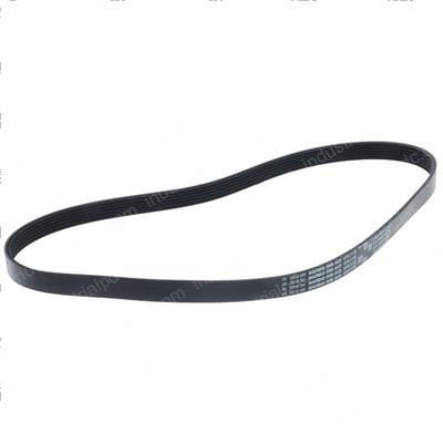 Picture of Belt - Serpentine