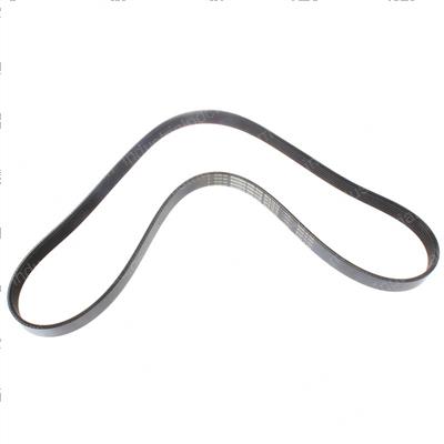 Picture of Belt - Serpentine