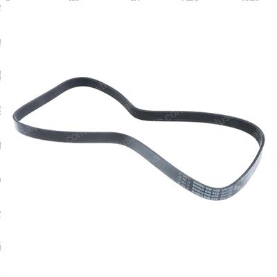 Picture of Belt - Serpentine