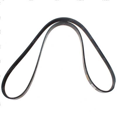 Picture of Belt - Serpentine