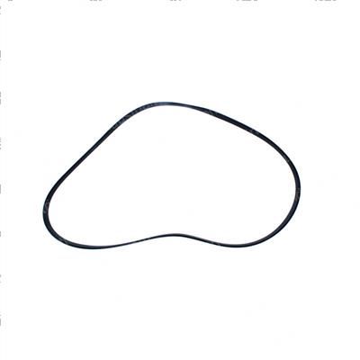 Picture of Belt - Serpentine