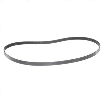 Picture of Belt - Serpentine