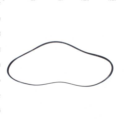 Picture of Belt - Serpentine