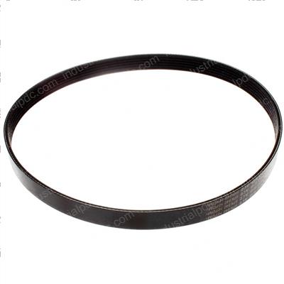 Picture of Belt - Serpentine