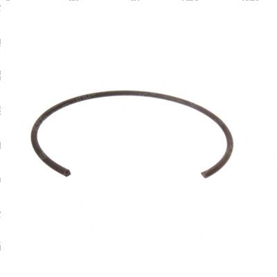 Picture of Ring-Retaini