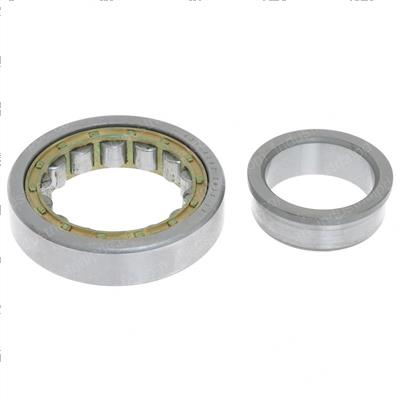 Picture of Bearing