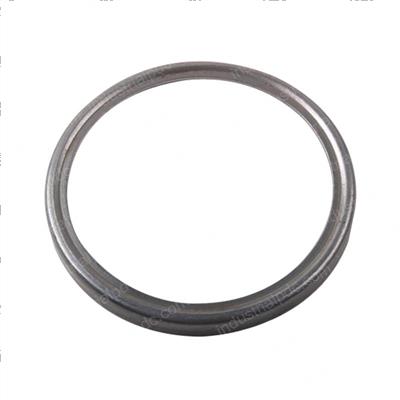 Picture of Seal - Shield