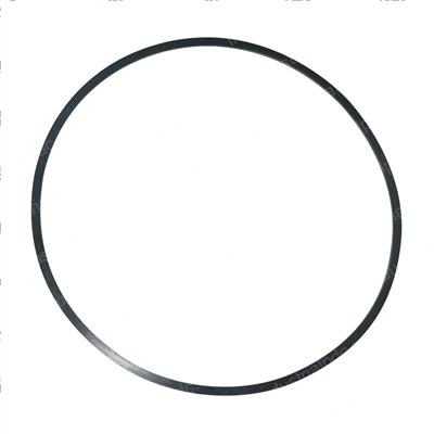 Picture of Ring - Back Up