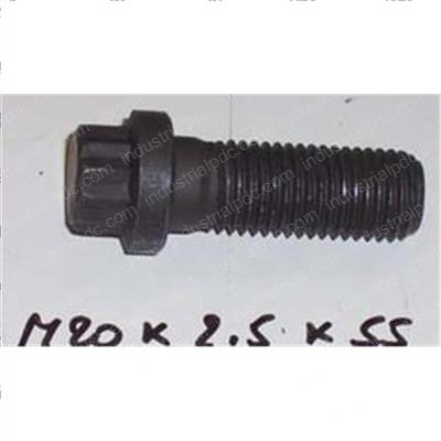 Picture of Bolt - 12pt Flange