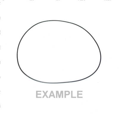 Picture of O-Ring
