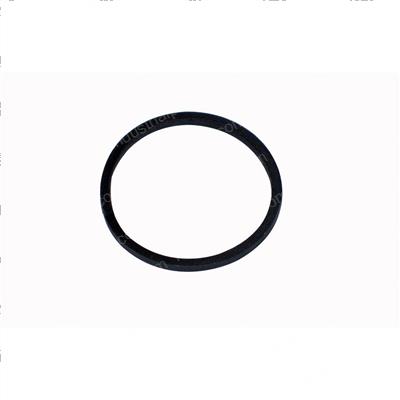 Picture of Ring - Back Up
