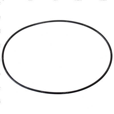 Picture of O-Ring