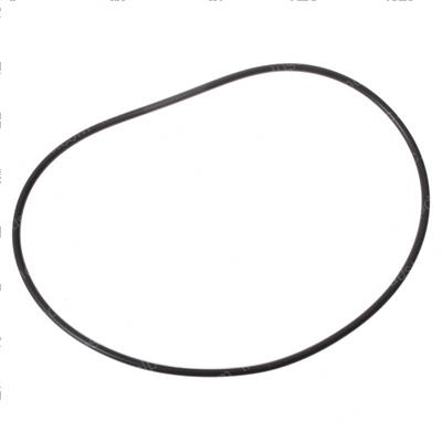 Picture of O-Ring