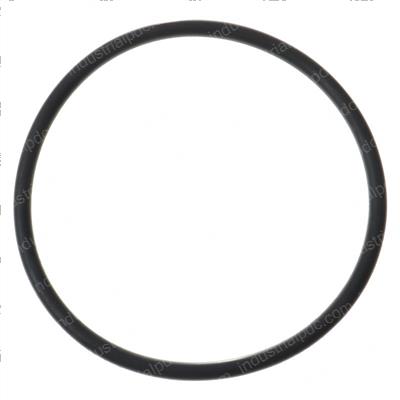 Picture of O-Ring
