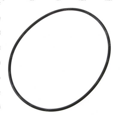 Picture of O-Ring