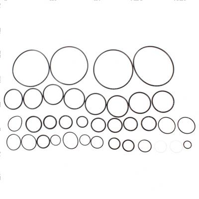 Picture of O-Ring Kit