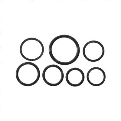Picture of Seal Kit
