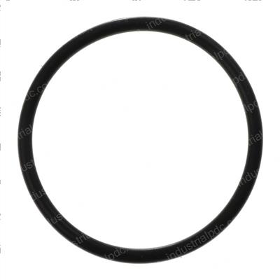 Picture of O-Ring Filter Plug