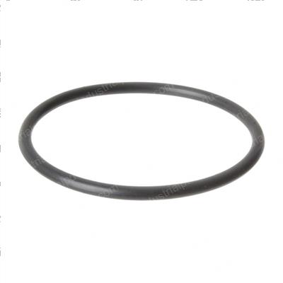 Picture of O-Ring