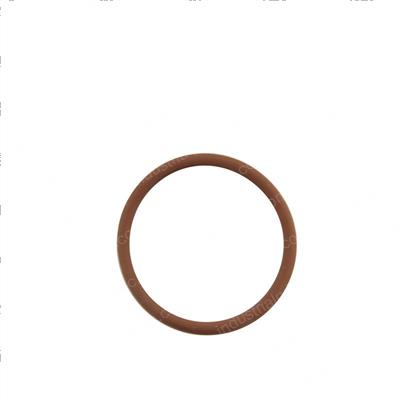 Picture of O-Ring