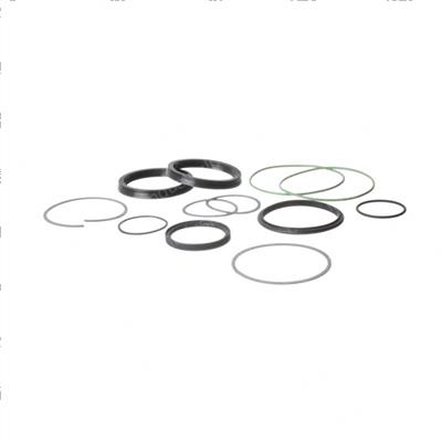 Picture of Low Temperature Seal Kit