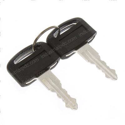 Picture of Keys - Set of Two