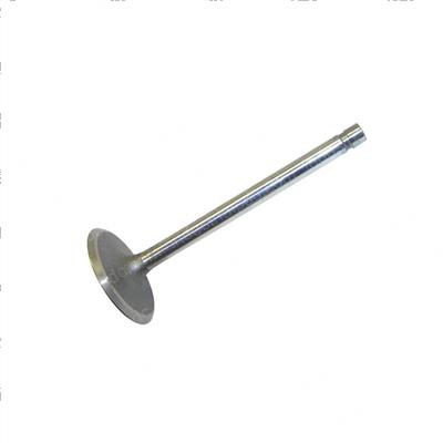 Picture of Valve - Intake (1 Groove)