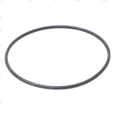 Picture of O-Ring